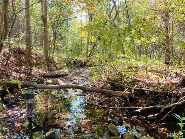 $703,500 | 9641 Crane Drive, Bucyrus, MO 65444