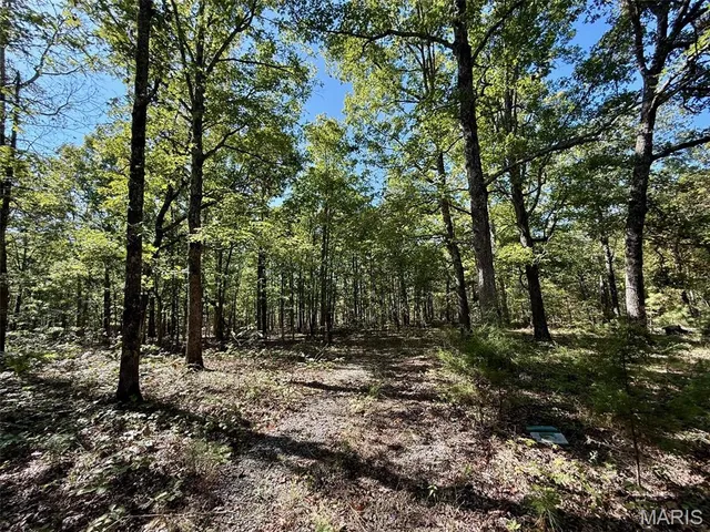 $703,500 | 9641 Crane Drive, Bucyrus, MO 65444