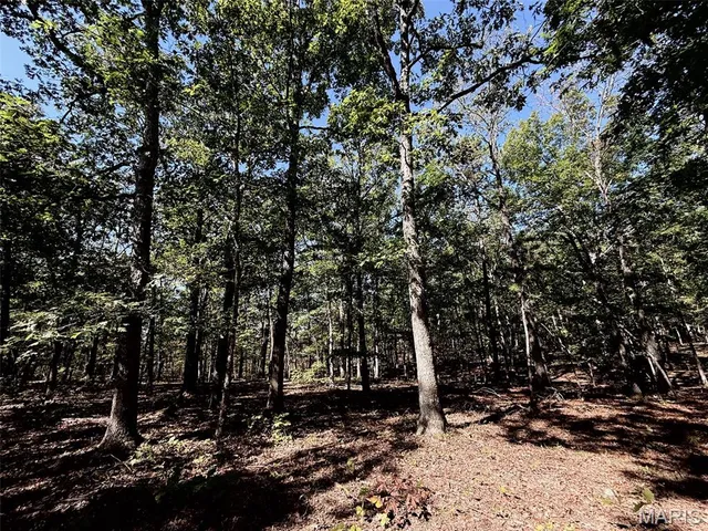 $703,500 | 9641 Crane Drive, Bucyrus, MO 65444