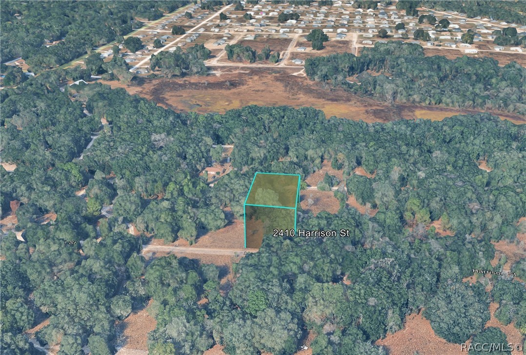 2410 Harrison Street Inverness, FL 34453 - Photo 6 of 6