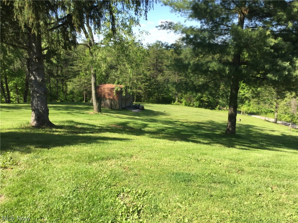 925 McGill Road Vincent, OH 45784 - Photo 20 of 24 Backyard with Storage Building.