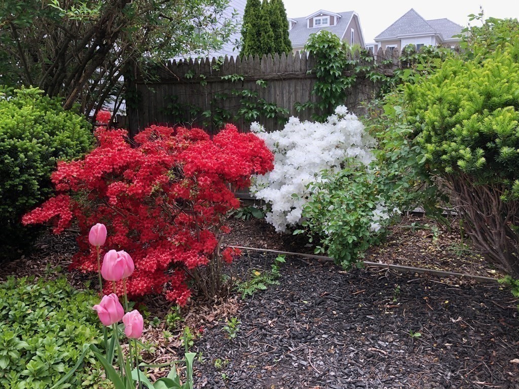 127 Clay Street Cambridge, MA 02140 - Photo 15 of 19