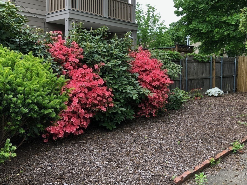 127 Clay Street Cambridge, MA 02140 - Photo 16 of 19