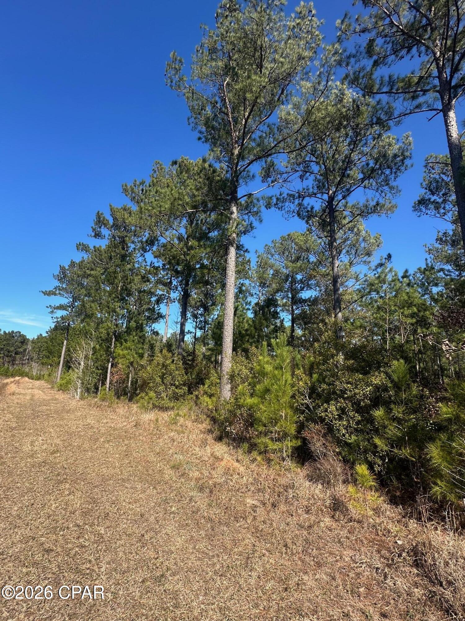 0 River Road Sneads, FL 32460 - Photo 19 of 23