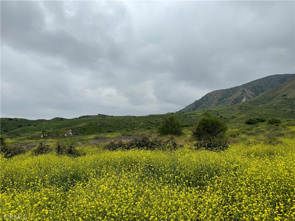 11275 Hadler Drive Sylmar, CA 91342 - Photo 2 of 12