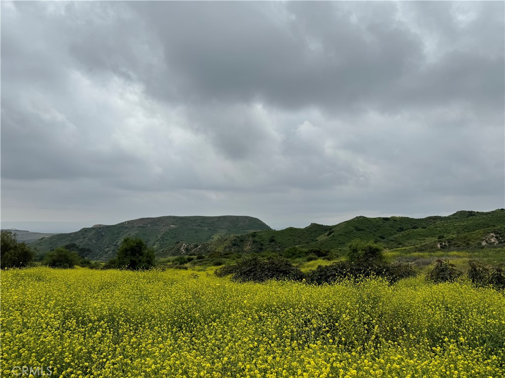 11275 Hadler Drive Sylmar, CA 91342 - Photo 3 of 12