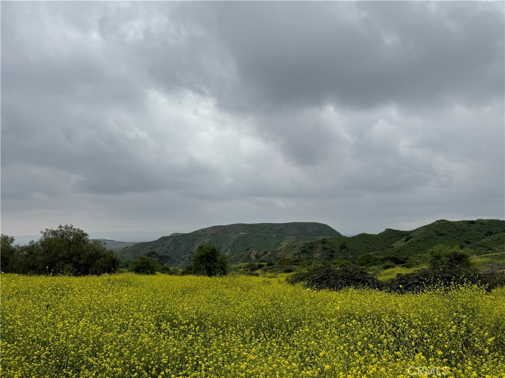 11275 Hadler Drive Sylmar, CA 91342 - Photo 4 of 12