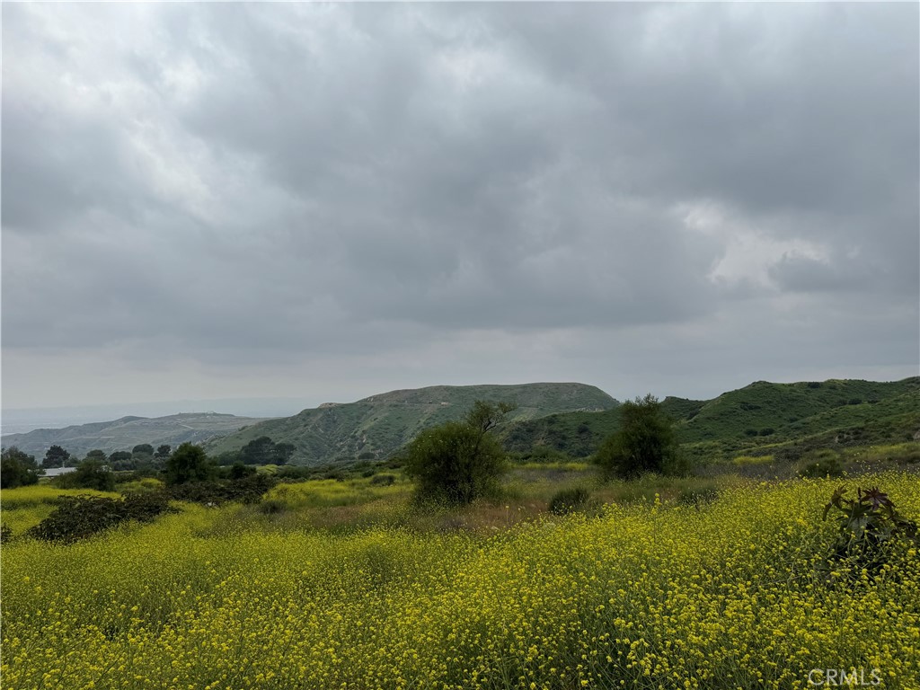11275 Hadler Drive Sylmar, CA 91342 - Photo 5 of 12