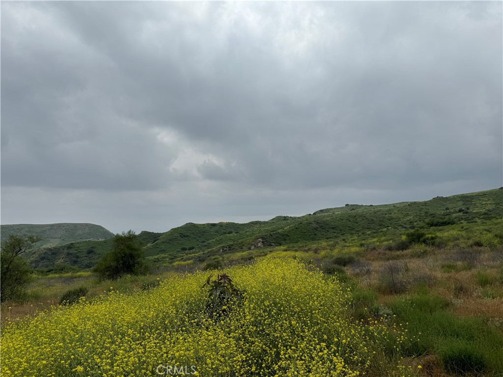 11275 Hadler Drive Sylmar, CA 91342 - Photo 6 of 12