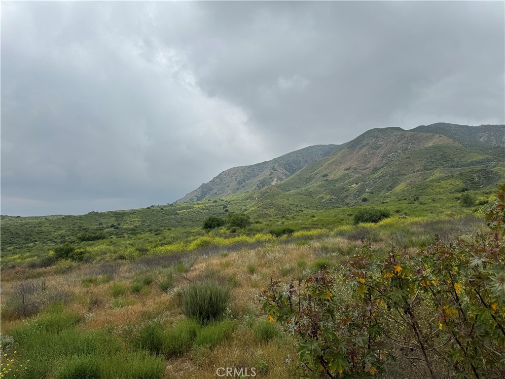 11275 Hadler Drive Sylmar, CA 91342 - Photo 7 of 12