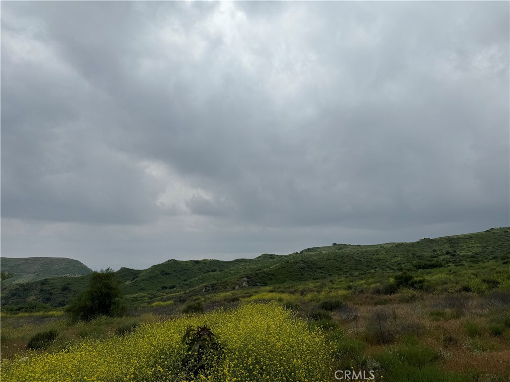 11275 Hadler Drive Sylmar, CA 91342 - Photo 8 of 12