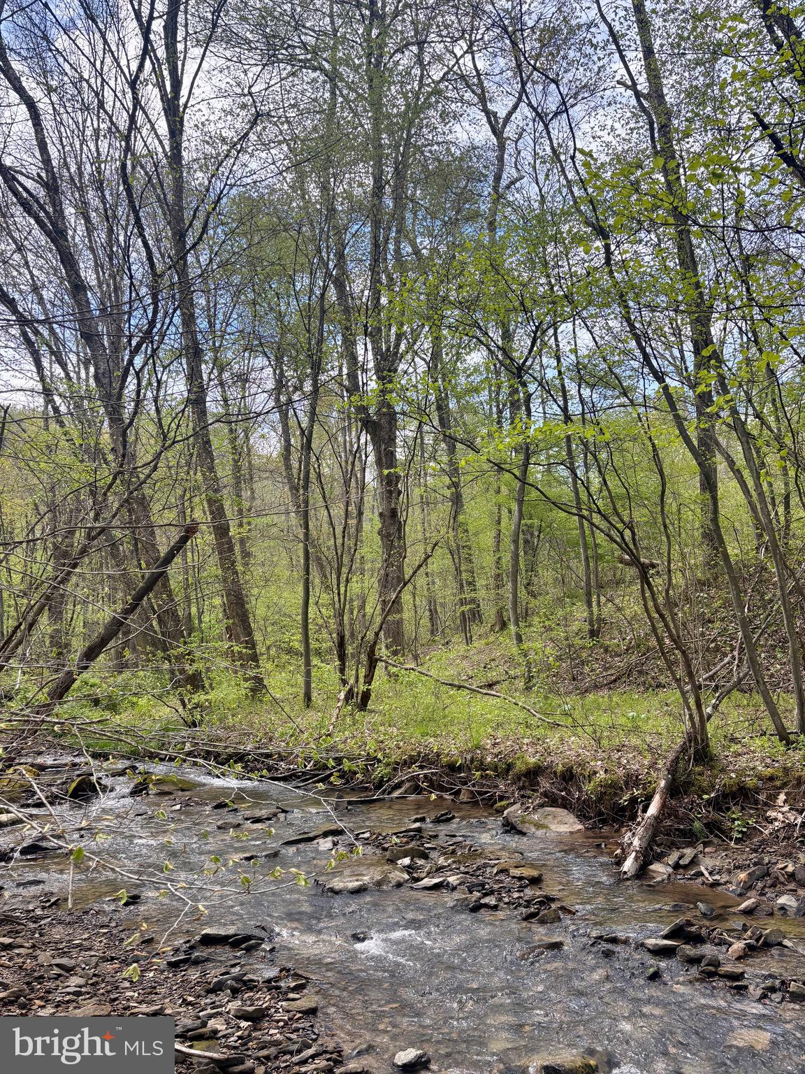 2800 Center Hill Road Brookville, PA 15825 - Photo 24 of 34