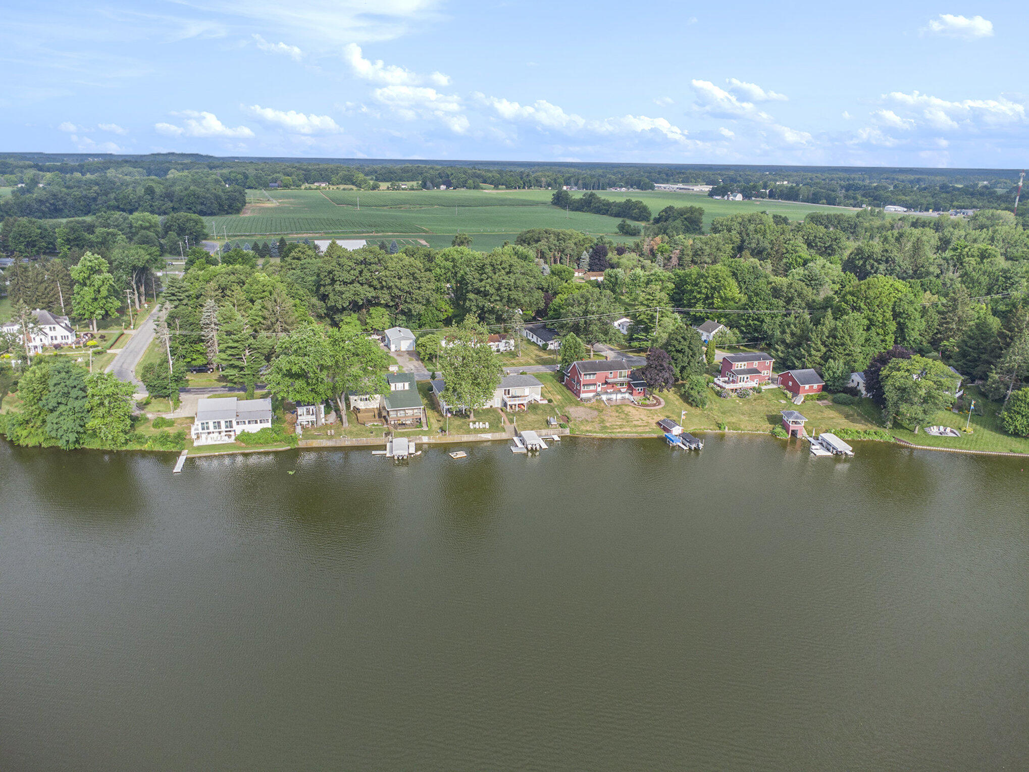 905 Elm Street Colon, MI 49040 - Photo 55 of 57 Palmer Lake Aerial