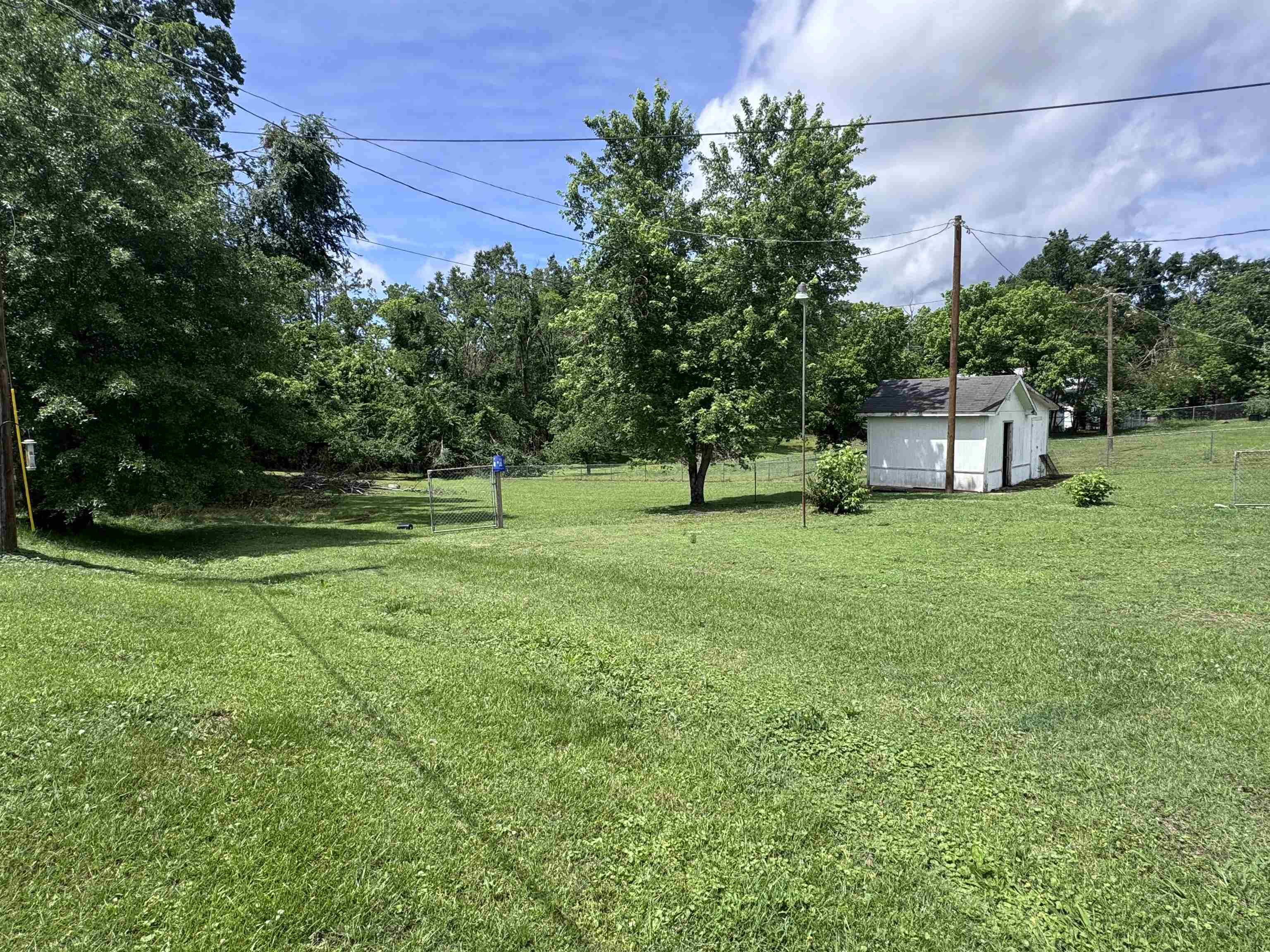 237 Old Shiloh Road Adamsville, TN 38310 - Photo 10 of 11 a view of a house with a backyard