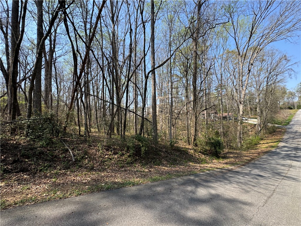 163 Tabor Street Central, SC 29630 - Photo 6 of 7 This verdant lot offers a serene setting for a future residence, surrounded by nature's tranquility.