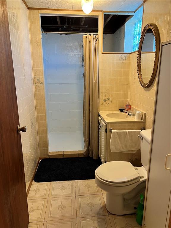 880 Pizza Barn Road Blairsville, PA 15717 - Photo 43 of 44 a bathroom with a toilet a sink and a shower