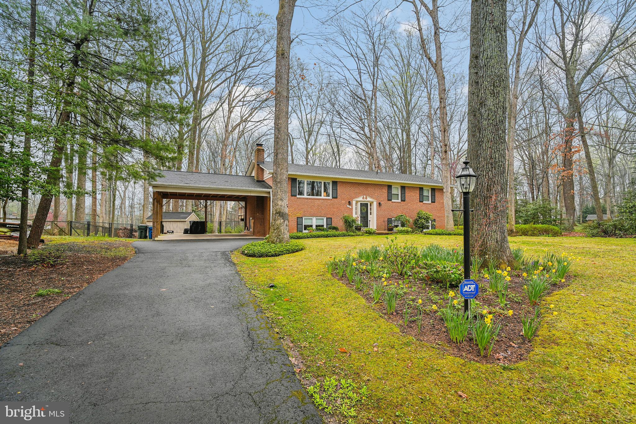 front yard