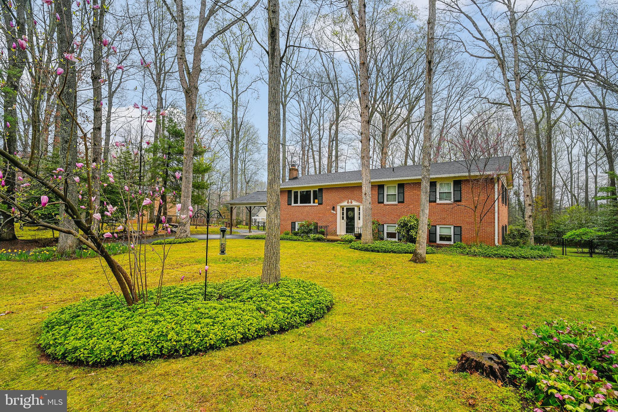 front yard