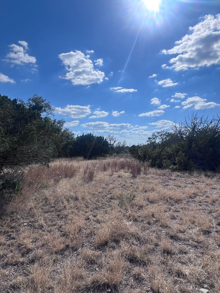0 Fairview Road Rocksprings, TX 78880 - Photo 11 of 26