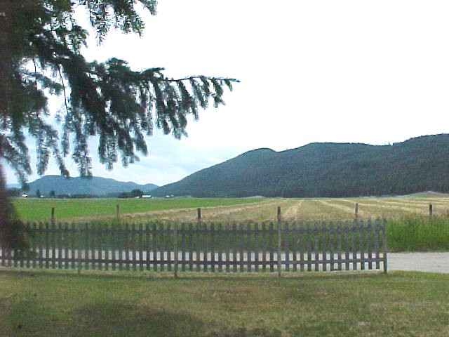 1048 Deaver Road Evans, WA 99126 - Photo 4 of 9