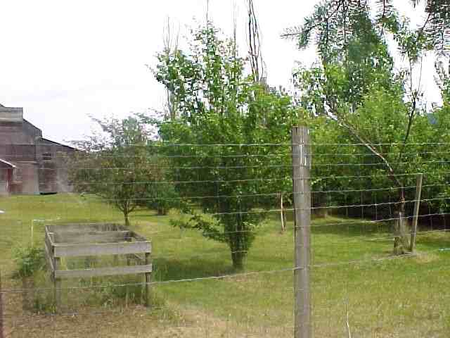 1048 Deaver Road Evans, WA 99126 - Photo 6 of 9