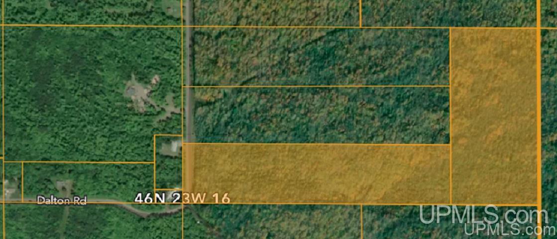 Tbd Dalton Road Skandia, MI 49885 - Photo 10 of 14
