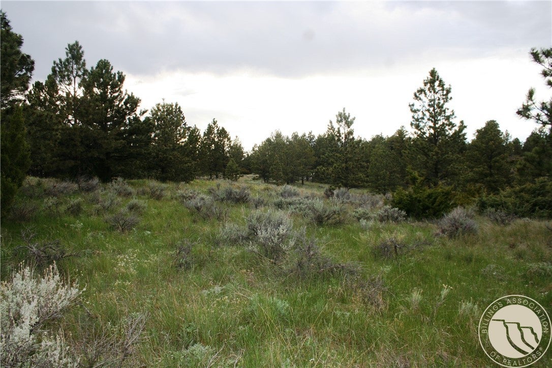 Lot 71 North Harrier Road Reed Point, MT 59069 - Photo 11 of 32 Gallery Image 11