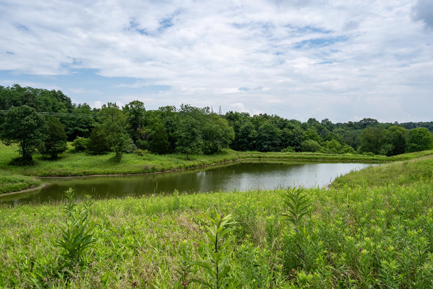 11315 Harlow Road West Bennington, IN 47011 - Photo 47 of 50