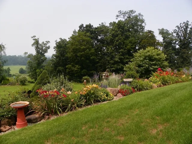 a view of a garden with a building in the background