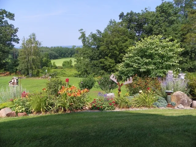 a view of a garden with plants