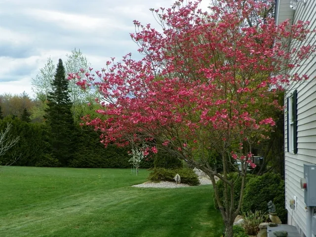 a view of swimming pool from a garden
