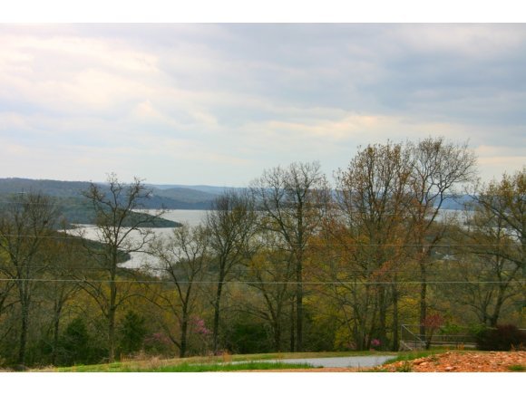 Lot 5 Bayshore Branson Reeds Spring, MO 65737 - Photo 1 of 1 Primary Photo
