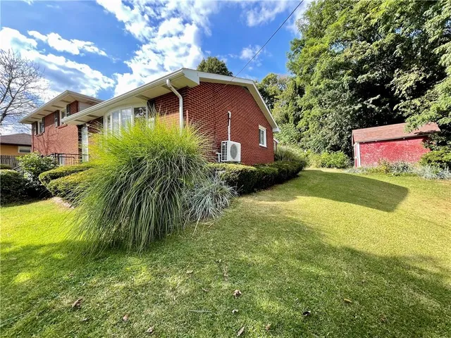 a view of a yard with plants