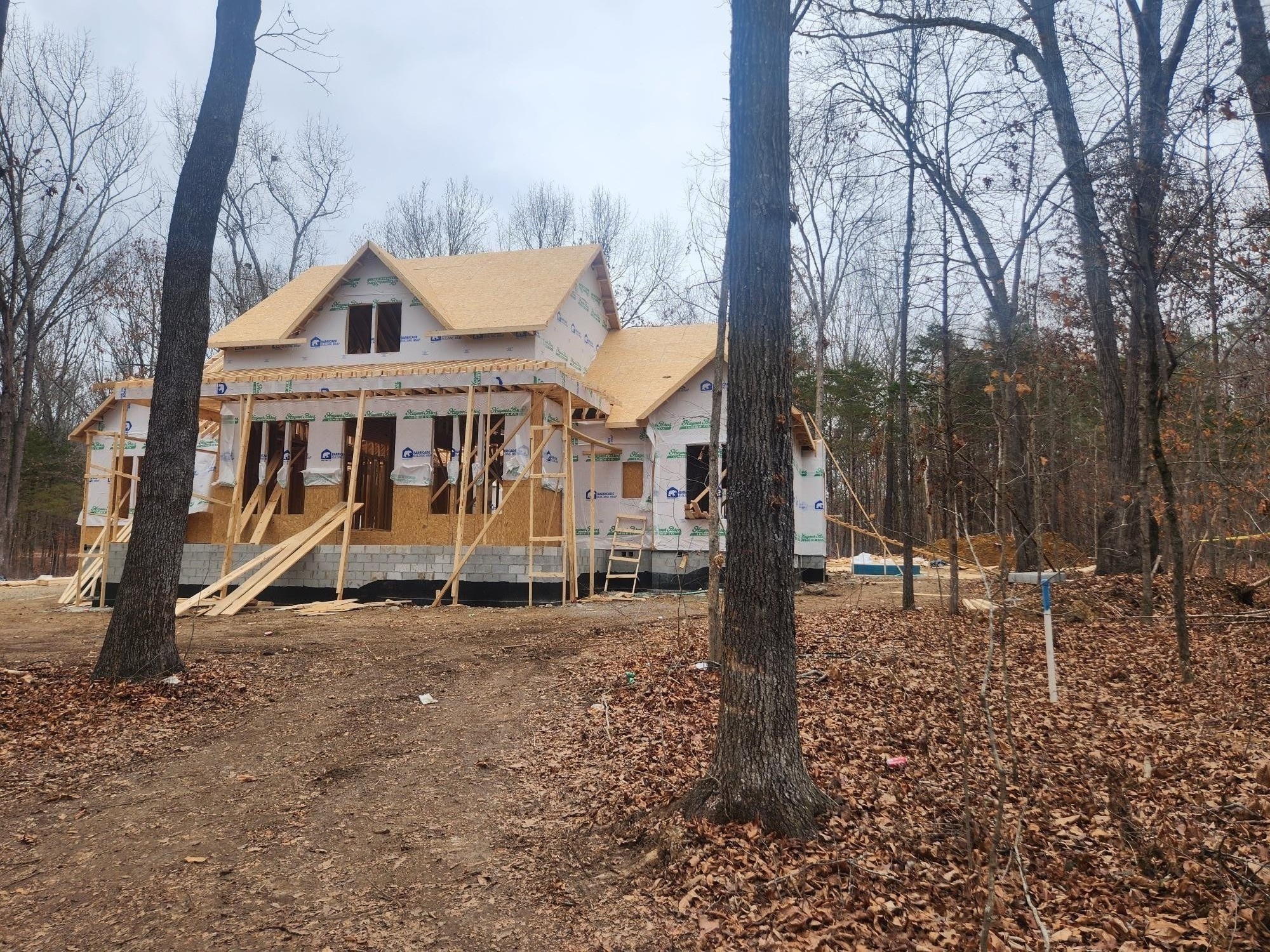 2175 St Johns Road Lascassas, TN 37085 - Photo 3 of 6