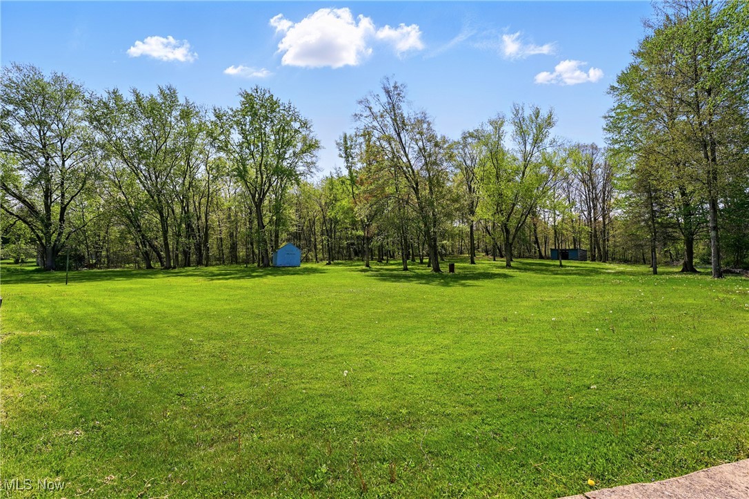 10544 Holcomb Road Newton Falls, OH 44444 - Photo 4 of 32
