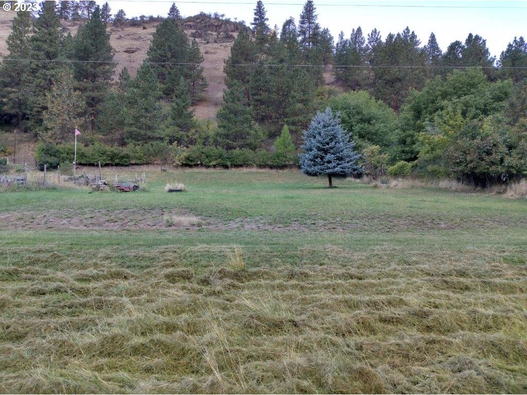 Upper Imnaha Road Imnaha, OR 97842 - Photo 1 of 2 Gallery Image 1