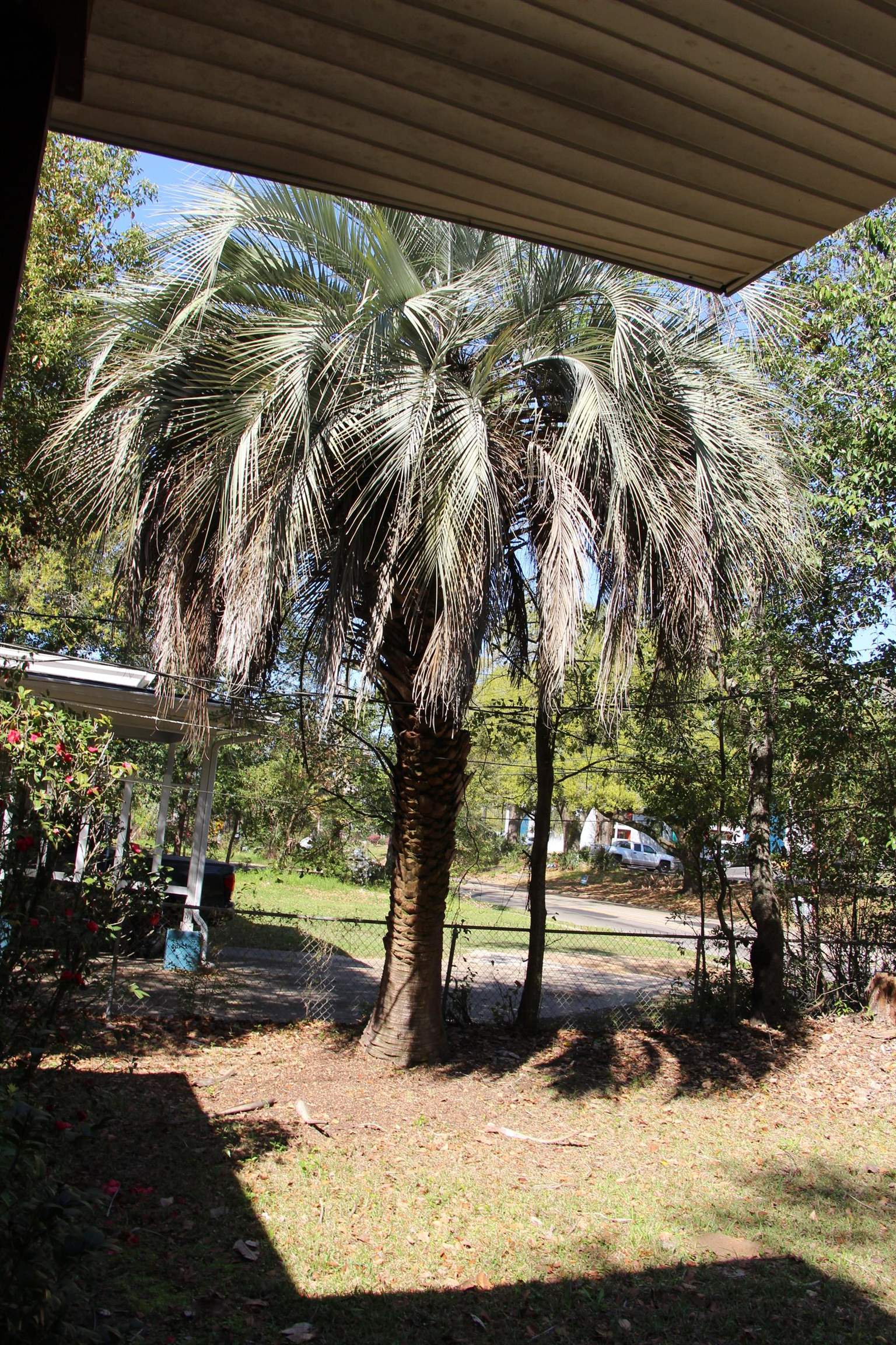 1811 Jackson Bluff Road Tallahassee, FL 32304 - Photo 13 of 43