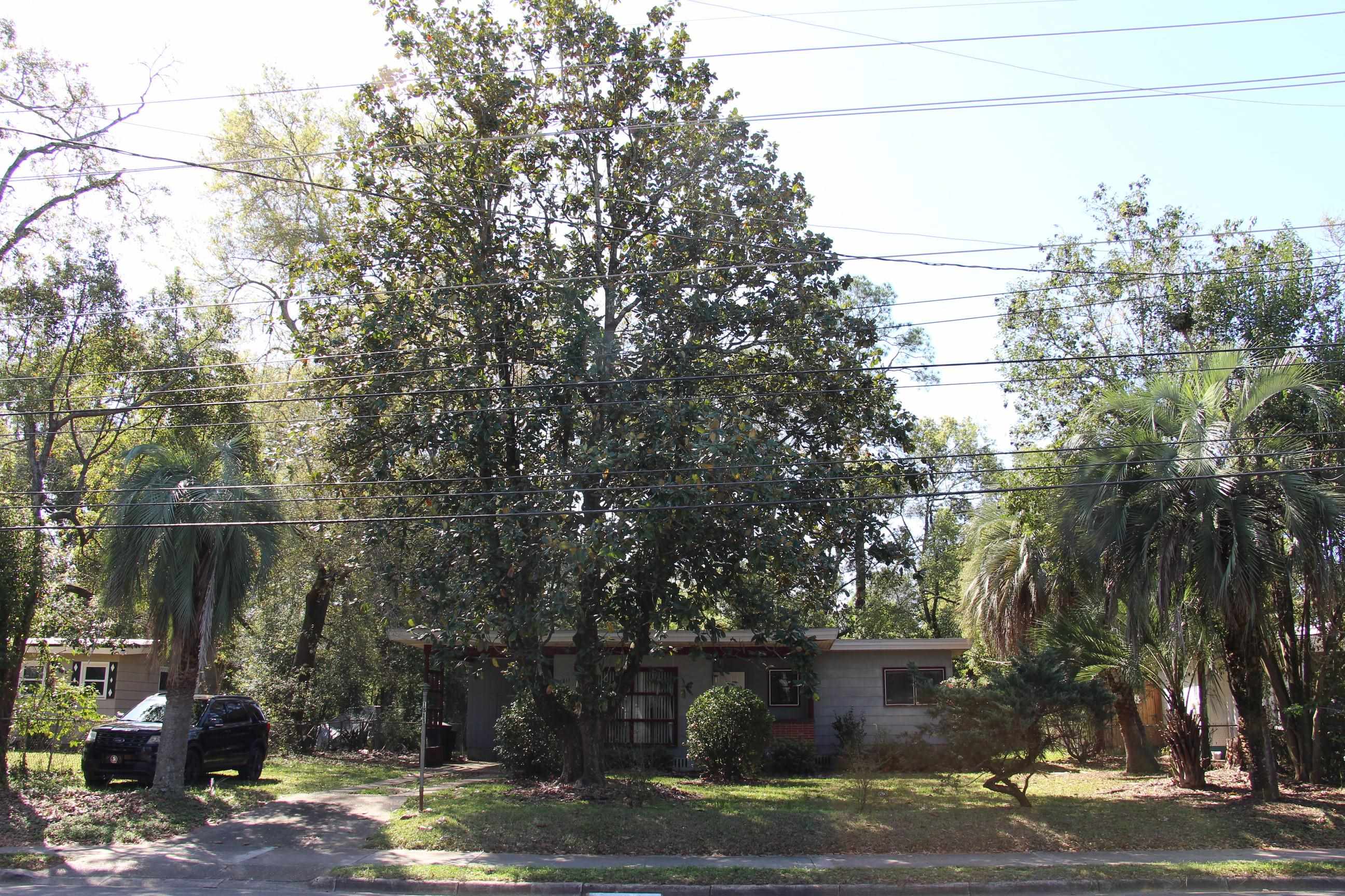 1811 Jackson Bluff Road Tallahassee, FL 32304 - Photo 36 of 43