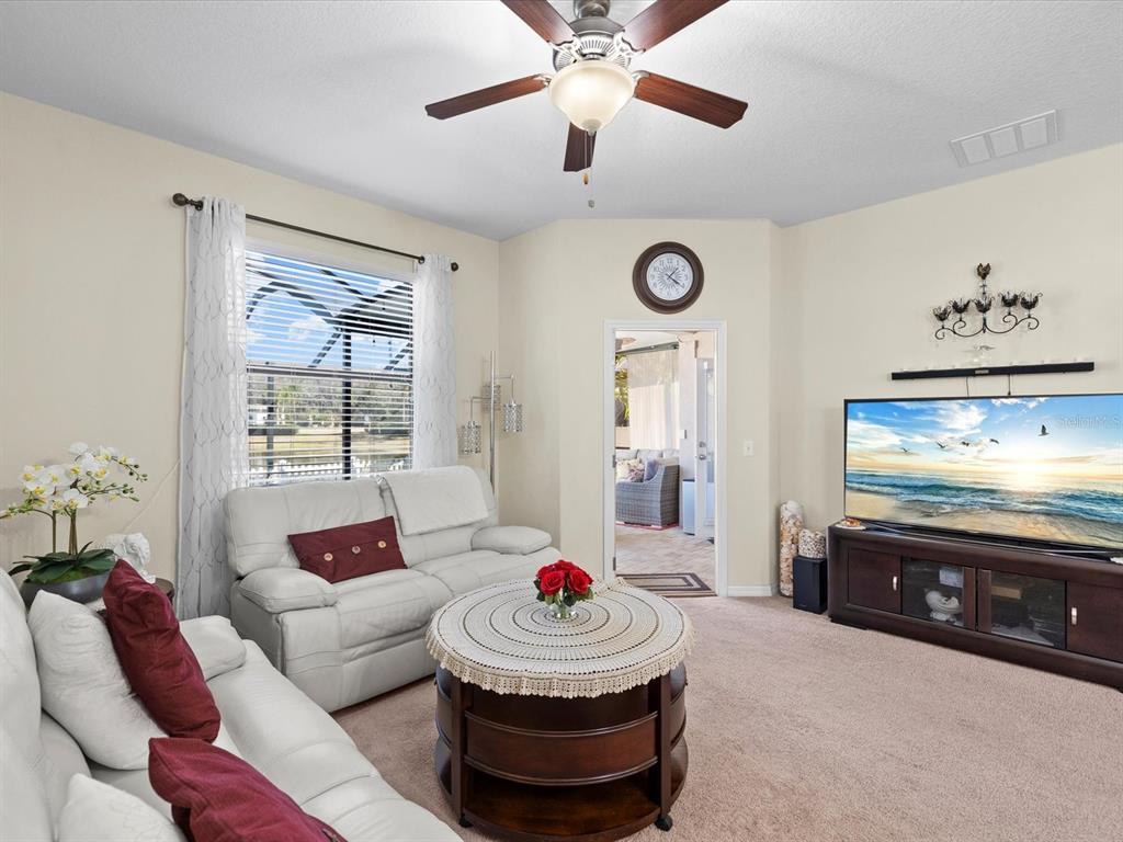 1716 Hadden Hall Place Trinity, FL 34655 - Photo 16 of 75 a living room with furniture and a flat screen tv