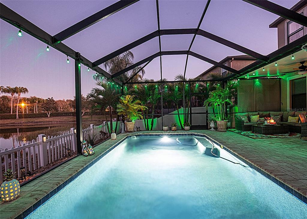 1716 Hadden Hall Place Trinity, FL 34655 - Photo 50 of 75 a view of a backyard with sitting area