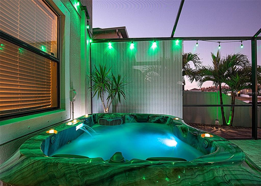 1716 Hadden Hall Place Trinity, FL 34655 - Photo 51 of 75 a view of a back yard of the house