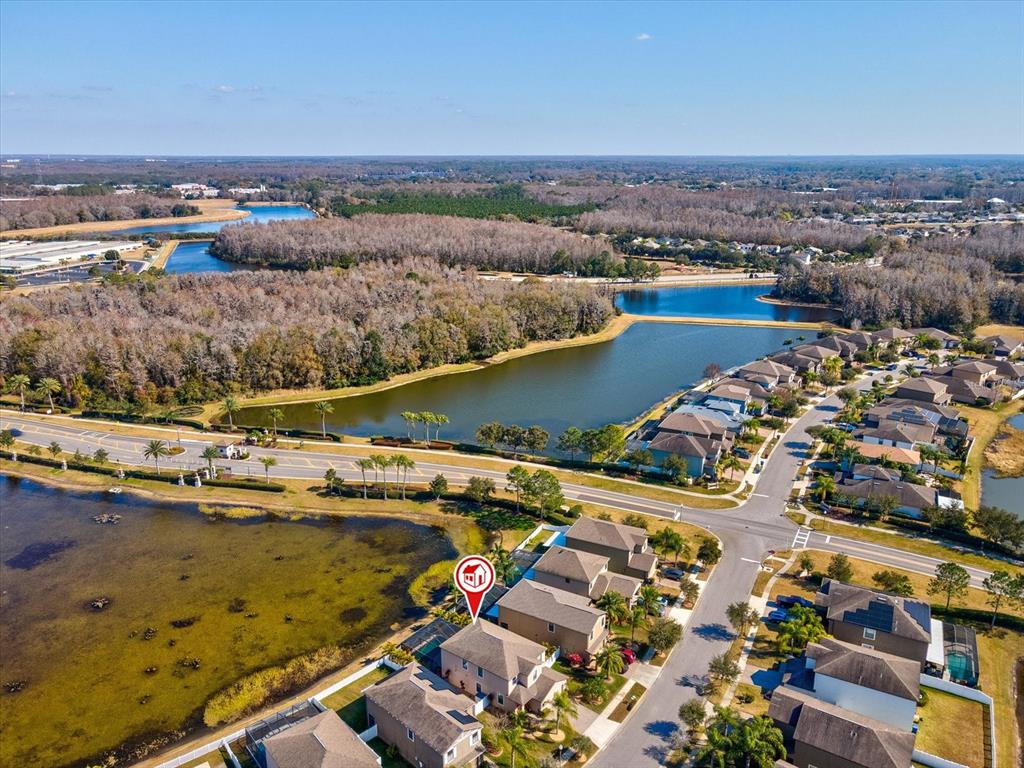1716 Hadden Hall Place Trinity, FL 34655 - Photo 63 of 75 an aerial view of residential houses with outdoor space