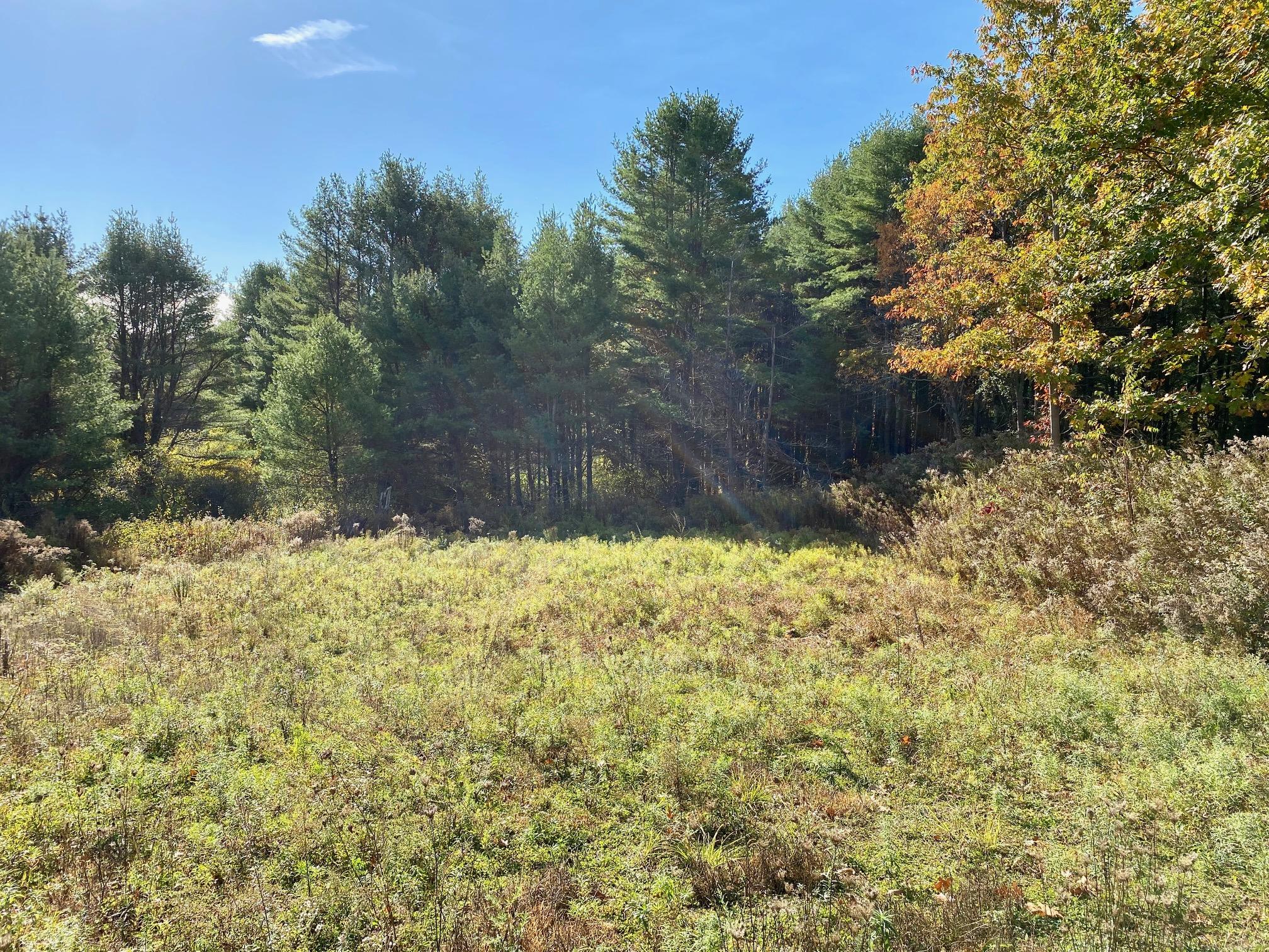 36 Brackett Road Gorham, ME 04038 - Photo 3 of 10 IMG_1854