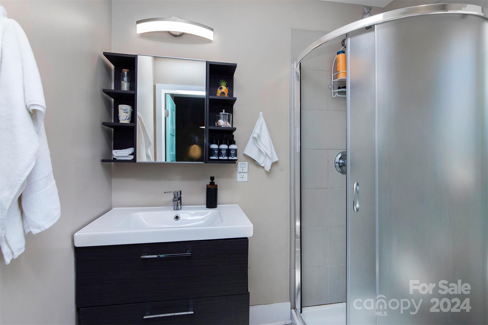 3741 Woodleaf Road Charlotte, NC 28205 - Photo 24 of 31 a bathroom with a sink and a mirror