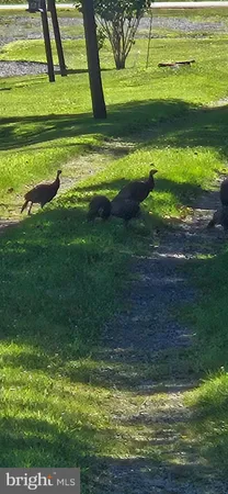 $285,000 | 203 Gorton Road, Moshannon, PA 16859