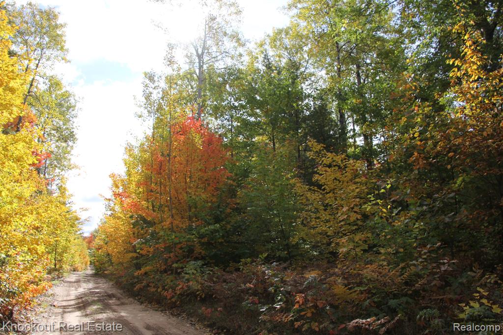 0 McCormick Road Cheboygan, MI 49721 - Photo 12 of 14