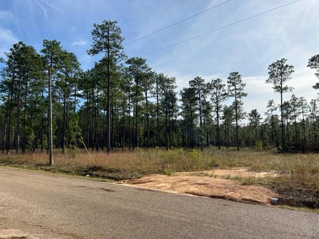 171 Entrekin Road Purvis, MS 39475 - Photo 1 of 1 Gallery Image 1