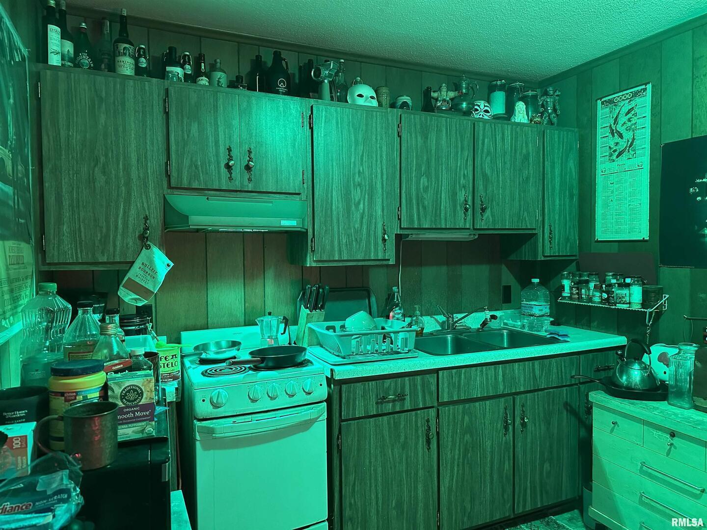 5281-5287 Country Club Road, Unit 1 2 Murphysboro, IL 62966 - Photo 16 of 50 a sink with green yard