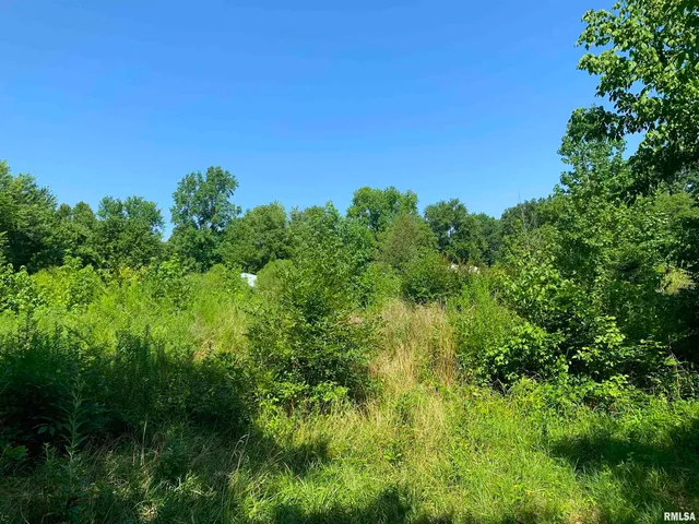 $312,500 | 5281-5287 Country Club Road, Unit 1 2, Murphysboro, IL 62966