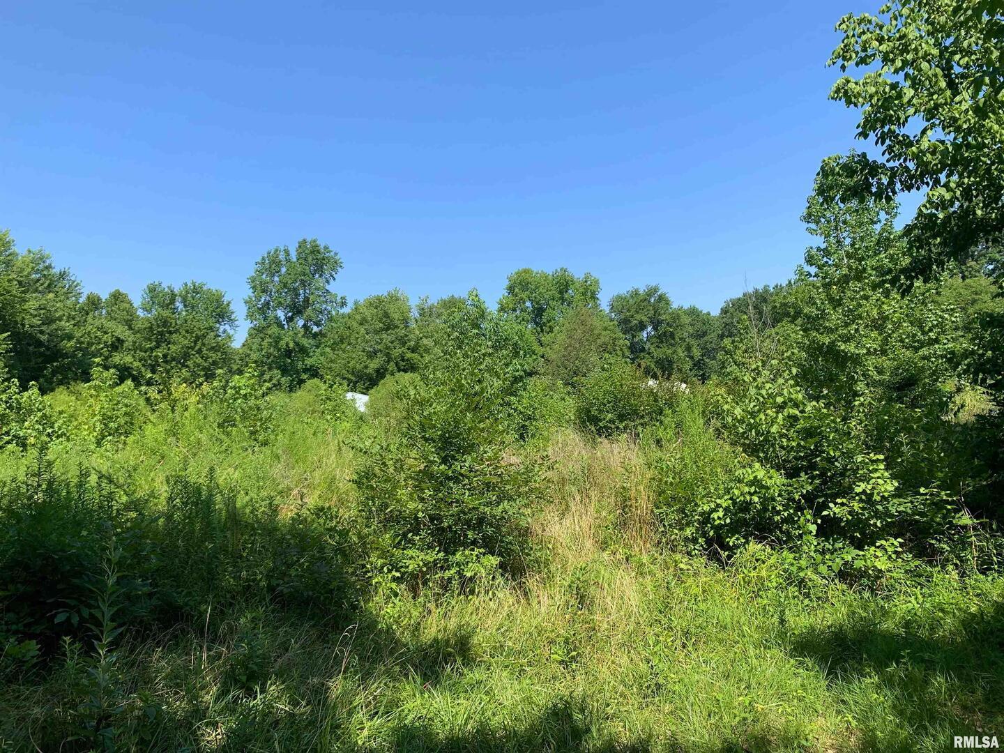 5281-5287 Country Club Road, Unit 1 2 Murphysboro, IL 62966 - Photo 24 of 50 a view of a lush green space